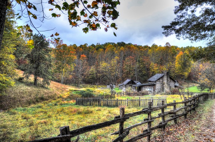Rustic cabin in autumn forest, West Virginia, USA