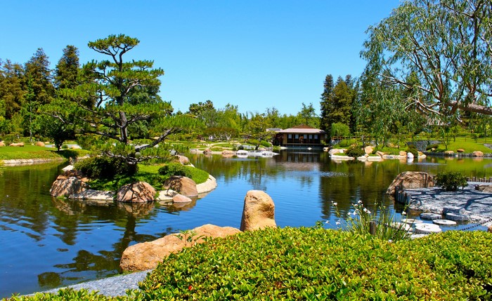 Japanese Garden with Pond and Traditional House