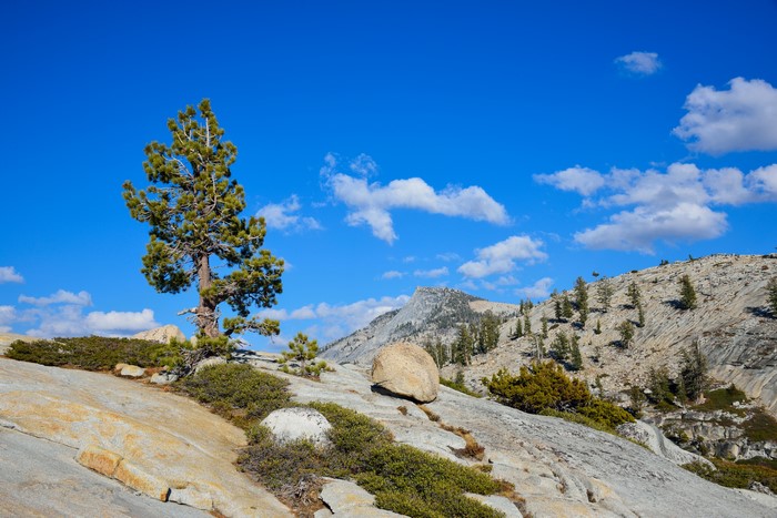 Yosemite National Park California Mountains and Trees