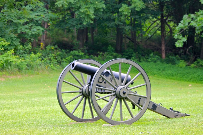 Cannon on a grassy field with trees