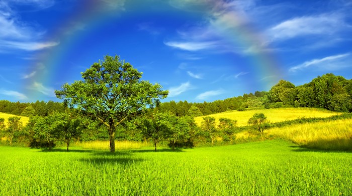 A vibrant landscape with a rainbow over green hills and trees