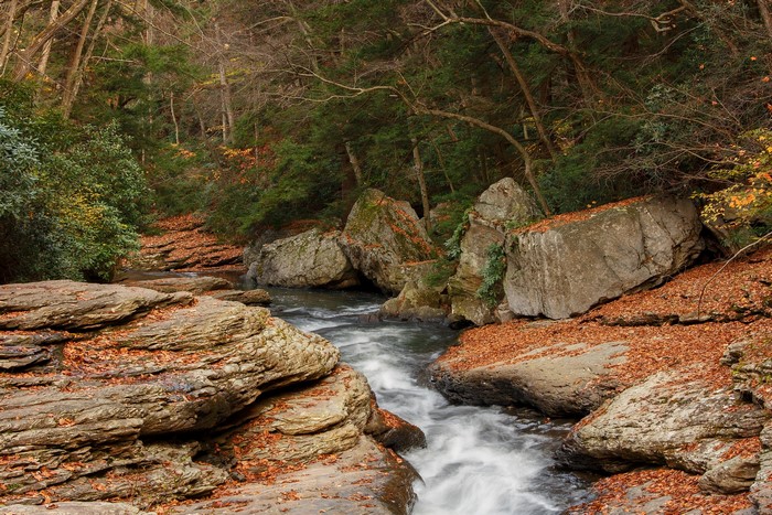 Stream flowing through a rocky forest in autumn