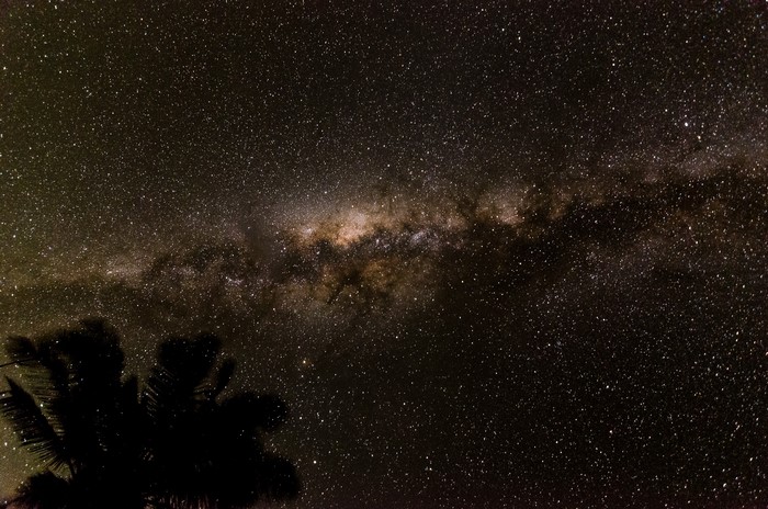 Milky Way galaxy and stars over a silhouetted palm tree