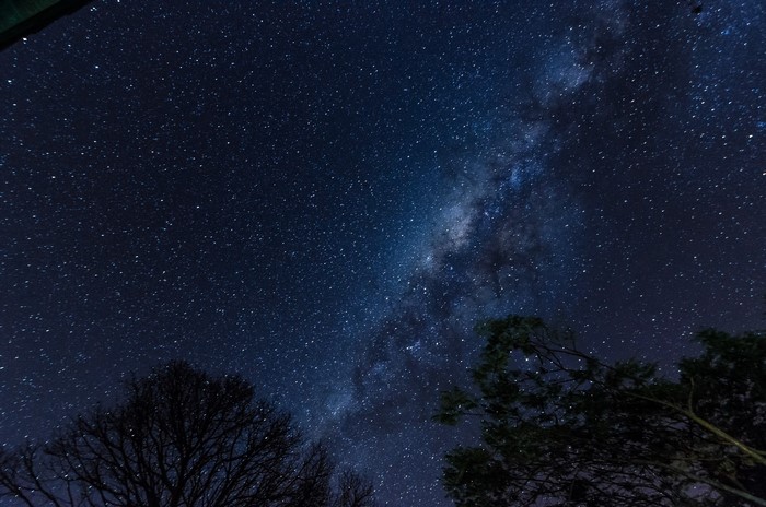Milky Way galaxy and stars visible above trees at night