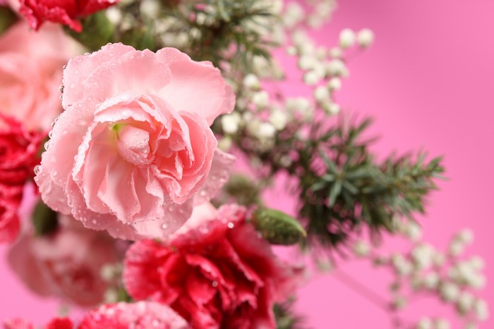 4K Pink and Red Carnations with Greenery