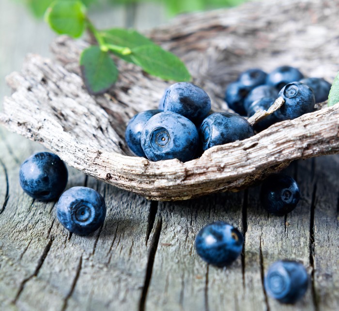 Blueberries in a wooden bowl on a rustic surface