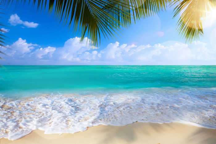 Turquoise Sea and Sandy Beach with Palm Leaves