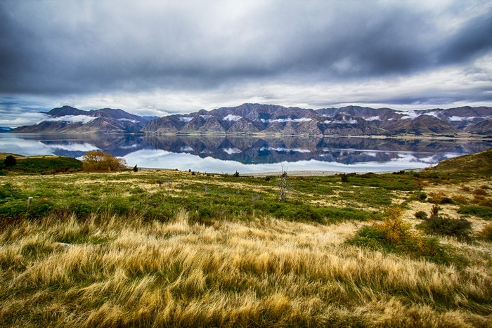 Lake Hawea with Mountains and Grass in New Zealand
