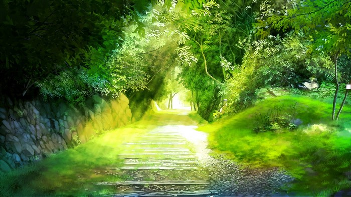 Forest trail with sun rays