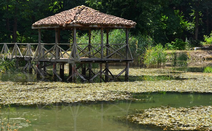 Wooden gazebo and bridge over a lily pad covered lake