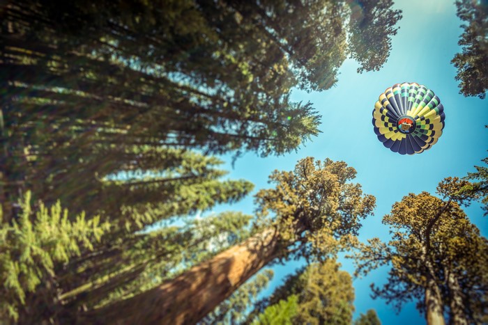Hot air balloon flying over redwood forest