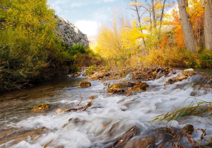 Autumn stream flowing over stones and rocks with colorful trees