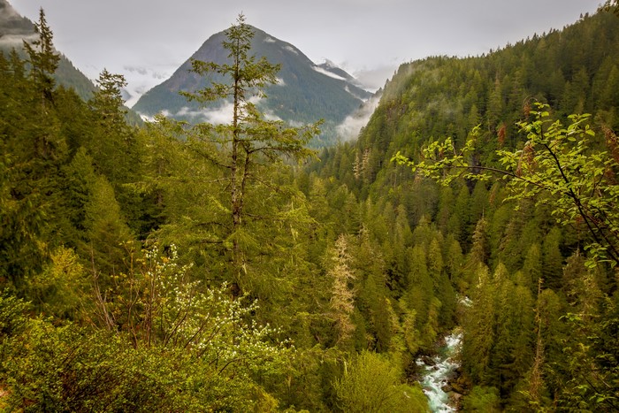 4K Marblemount Mountains and Forests Scenery