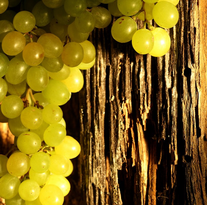 Close-up of green grapes on a wooden surface