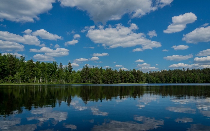 Lake and forest with reflections under a cloudy sky