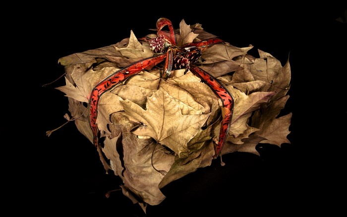 Gift wrapped in dried leaves with red ribbon