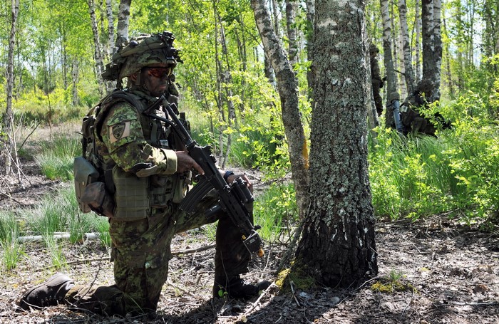 Soldier in camouflage kneeling in a forest