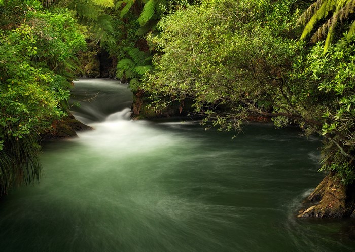 Okere Falls, New Zealand River