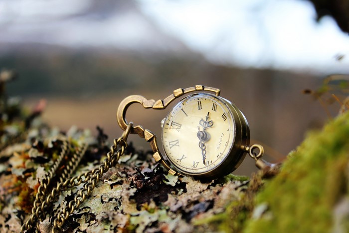 Pocket watch on mossy tree branch