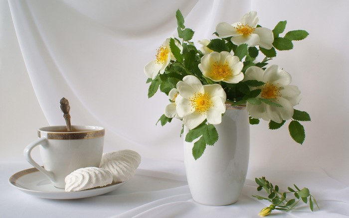 Still-life with white roses, tea cup, and sweets