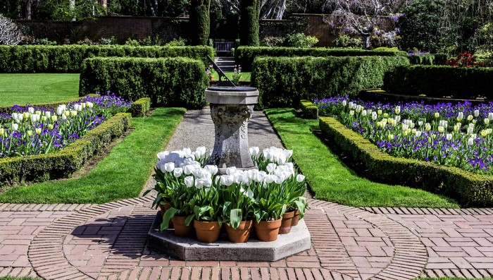 Filoli Gardens in California with Tulips and Sundial