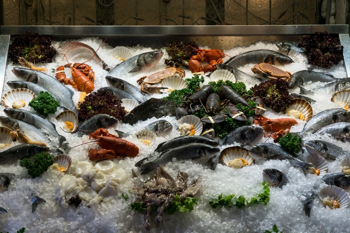 Seafood display with lobsters, crabs, and fish on ice