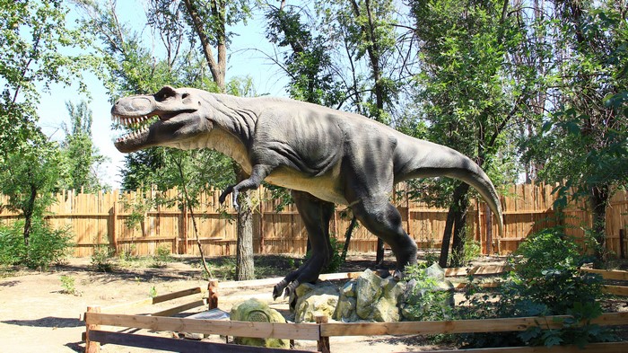 Tyrannosaurus Rex Dinosaur Model in Park