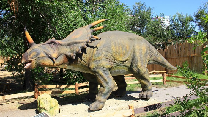 Styracosaurus dinosaur model in Volgograd