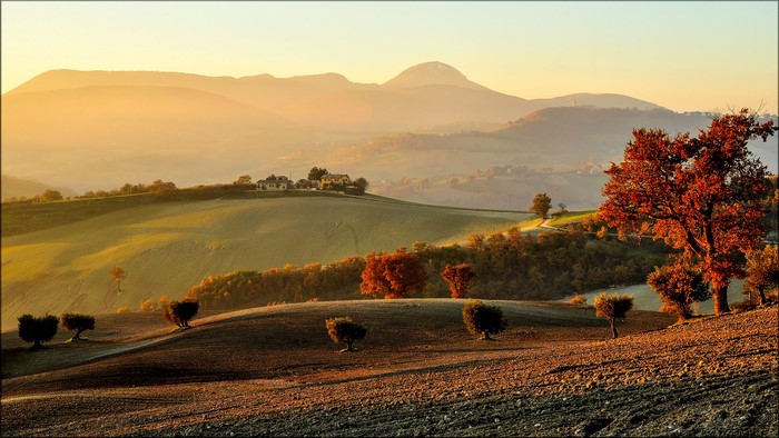 Rolling hills with trees and houses at sunset