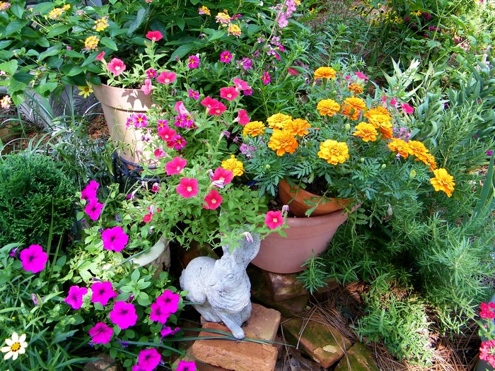 Garden with Petunias, Marigolds, and a Rabbit Statue