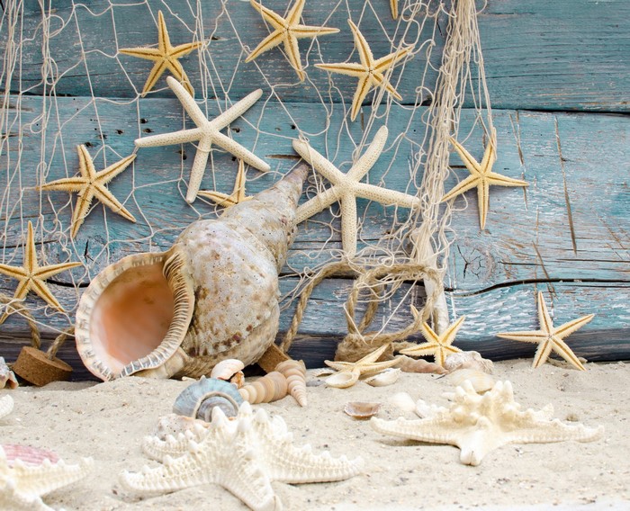 Starfish and seashells on sand with fishing net