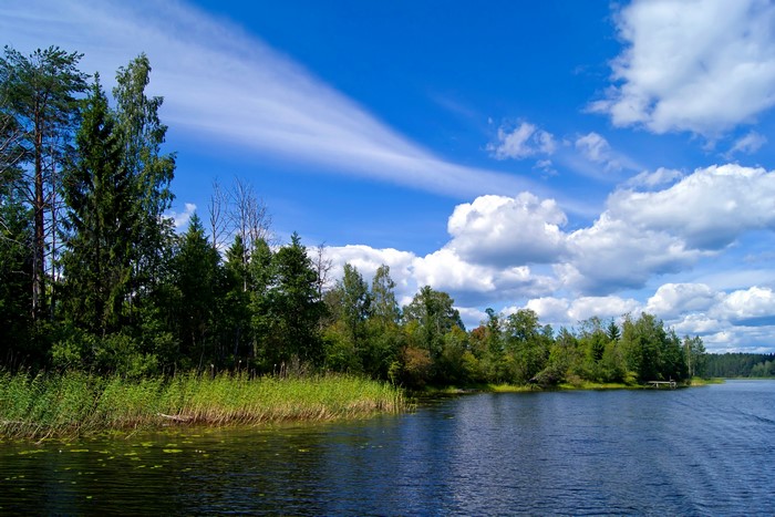 Lake with Trees and Blue Sky with Clouds