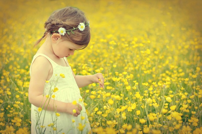 Little girl in a field of yellow flowers