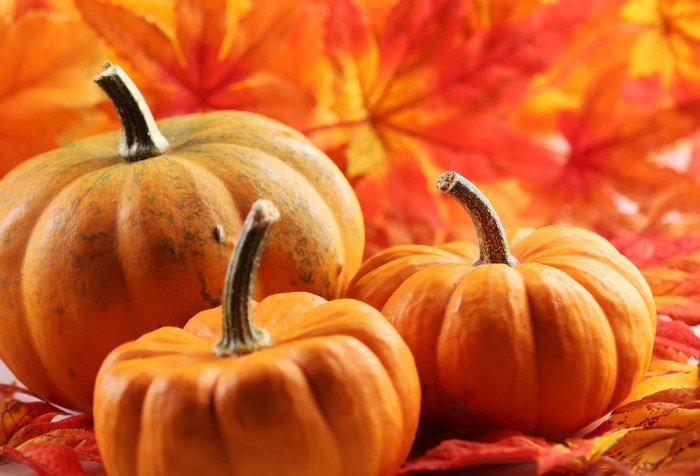 Pumpkins and Autumn Leaves