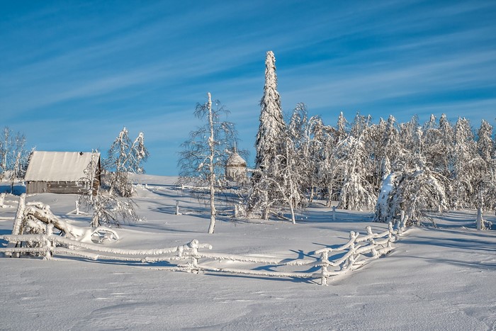 Snow-covered wooden fence and trees in winter