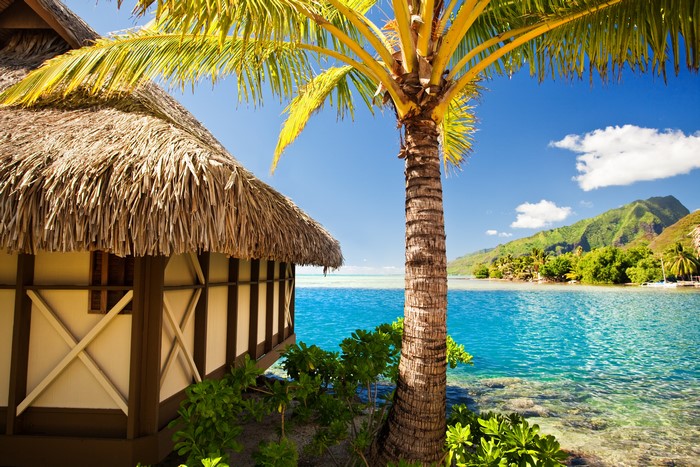 Tropical bungalow by the sea with palm trees and mountains