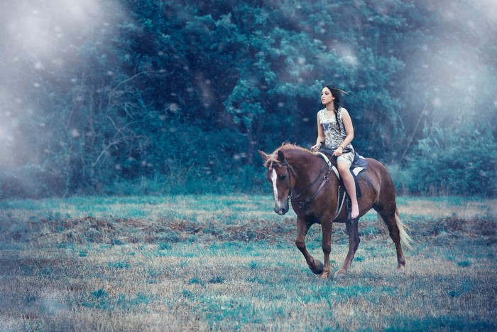 Woman riding a horse in a field