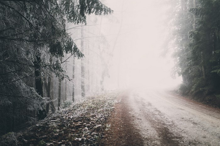 Winter forest road with fog