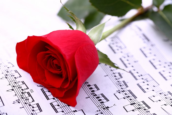 Red rose on sheet music