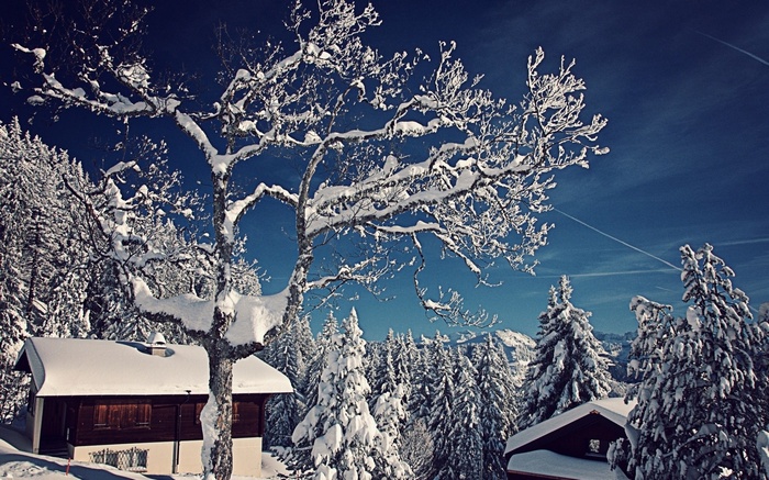Snowy cabins and trees in a mountain landscape