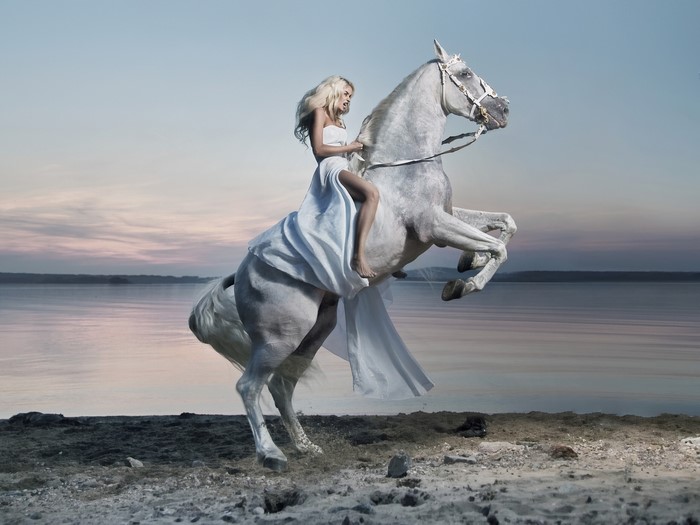 Blonde woman riding a white horse on a beach