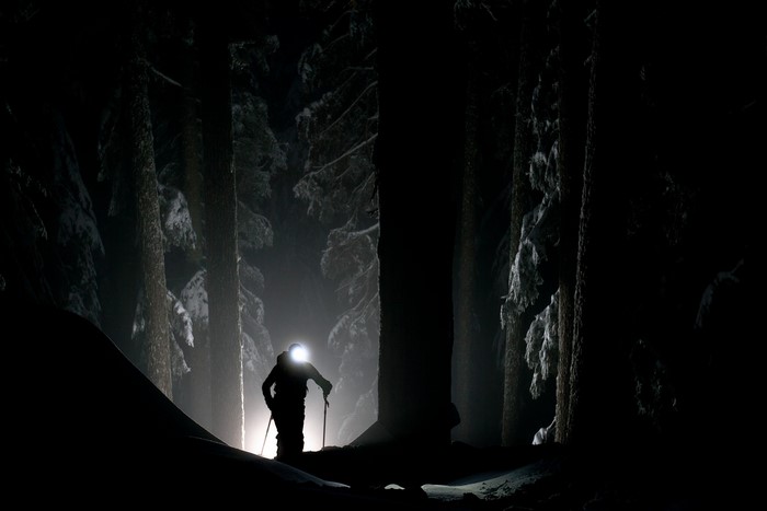 Silhouette of a skier in a snowy forest at night
