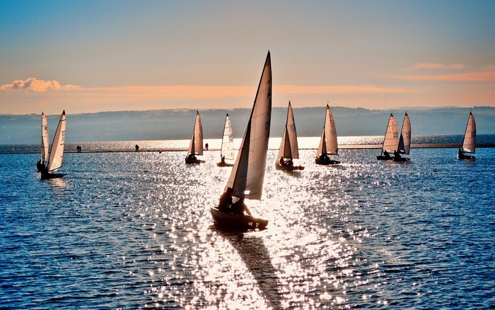 Sailboats racing on the sea at sunset