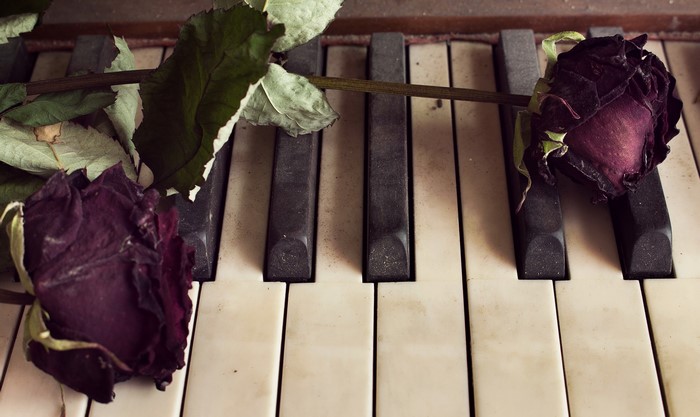 Two dried roses on a dusty piano
