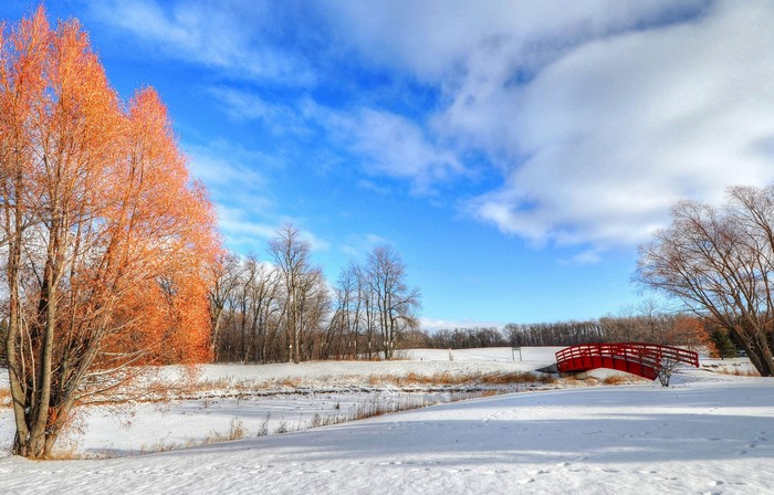 Red bridge over a snowy landscape with orange trees