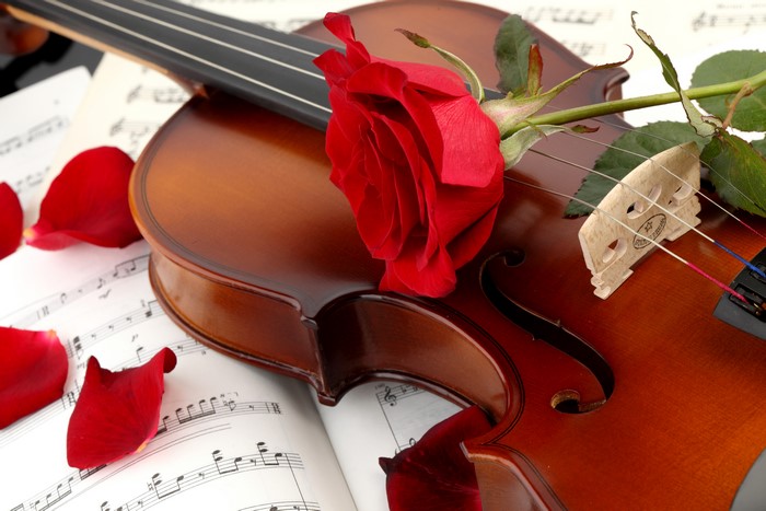 Violin with Red Rose and Petals on Sheet Music