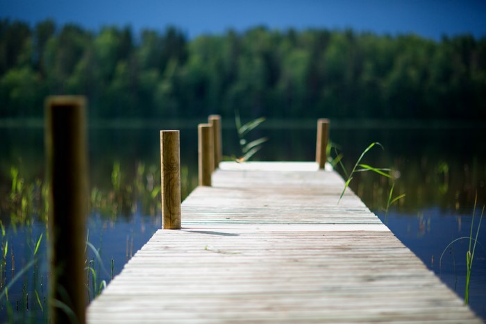 Wooden dock on a lake with forest background