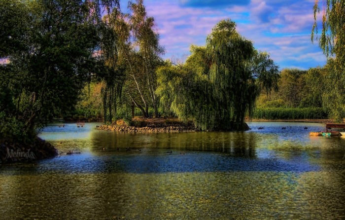 Park with a lake and trees in Gyongyos, Hungary