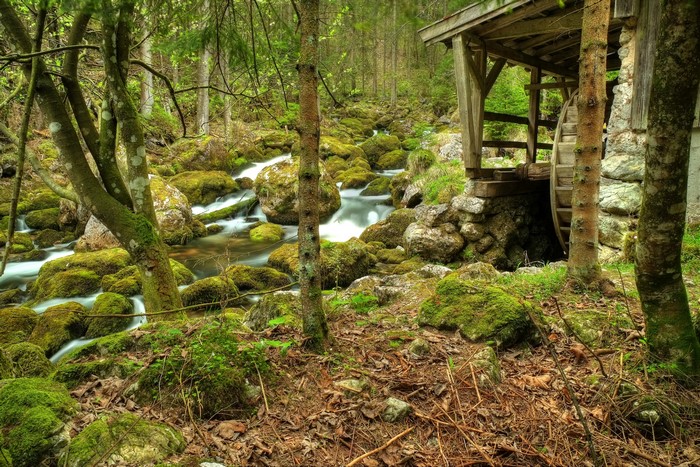Mossy rocks and a watermill by a stream in a forest