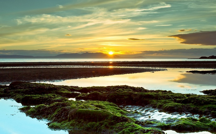 Sunset over a calm ocean with mossy rocks in the foreground